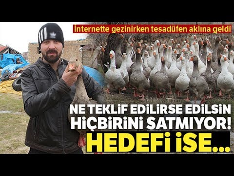 , title : 'Ne Teklif Edilirse Edilsin Kazlarını Satmıyor'