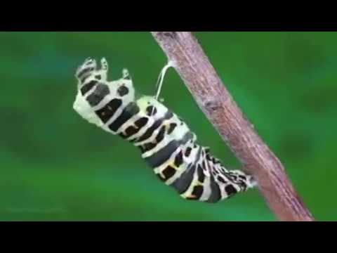 Existence | ONUR TARÇIN