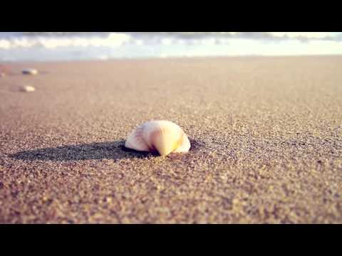 LUUUL - Beach (feat. Amanda Roi)