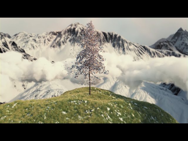 Animation