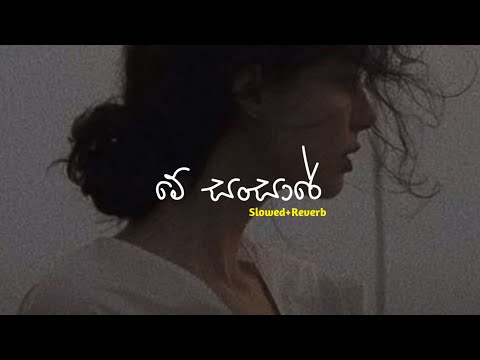 මේ සංසාරේ හැමදාමත් | Slowed + Reverb | ARTeka