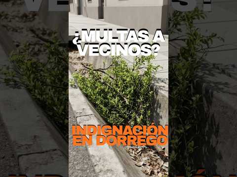 ¿Multas a vecinos? Indignación en Dorrego por la basura acumulada