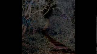 Penumbra - Doppelganger