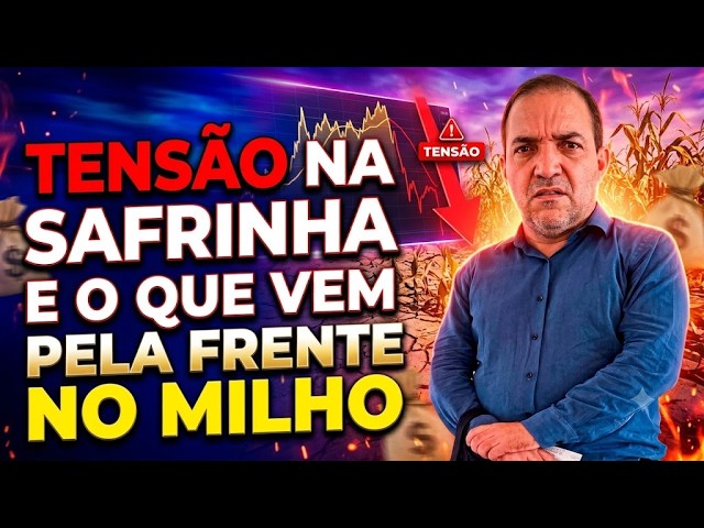 Tensão na safrinha e o que vem pela frente no milho.