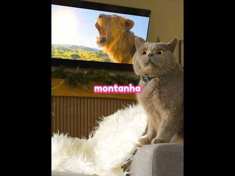 Este Gatinho Queria Ser Igual ao Mufasa 🦁🐱 #shorts