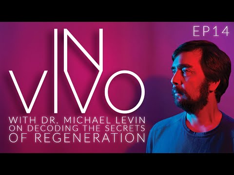 Can We Reprogram Life? Dr. Michael Levin on Bioelectricity & Cellular Intelligence | Ep. 14