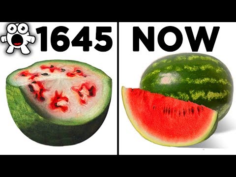 Top 10 Foods That Originally Looked Totally Different