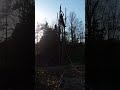 Jr S Tree Service