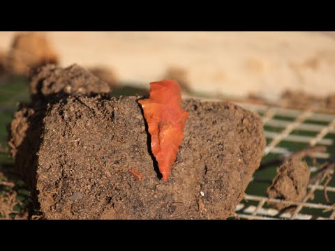 Arrowhead Hunting - Digging Heartbreaker Ridge Video