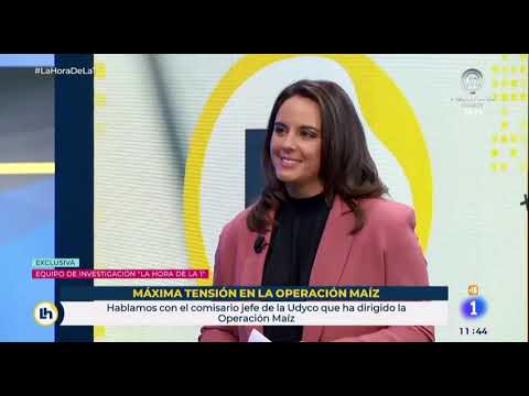 CAE EL CLAN DE LOS KIKOS EN LA CAÑADA REAL