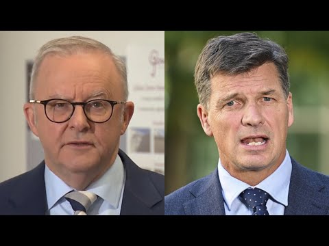 Two-party system in Australian politics ‘under enormous stress’