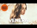 VENERA - THE BEST - ДРУГАЯ ЖИЗНЬ (ЛУЧШЕЕ 2026) @MELOMAN-THE-BEST-UMG