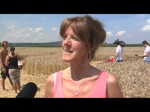 Kornkreis am Ammersee verzückt Spirituelle aus ganz Deutschland