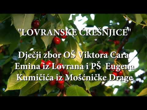 Lovranske črešnjice: MOJ LOVRAN