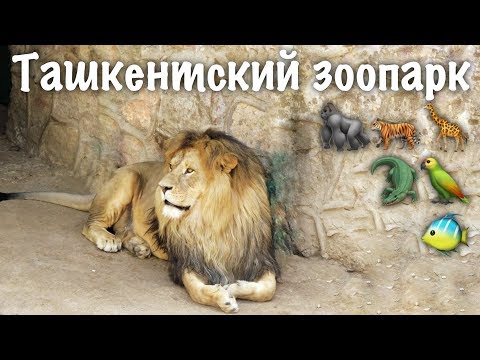 Ташкентский зоопарк