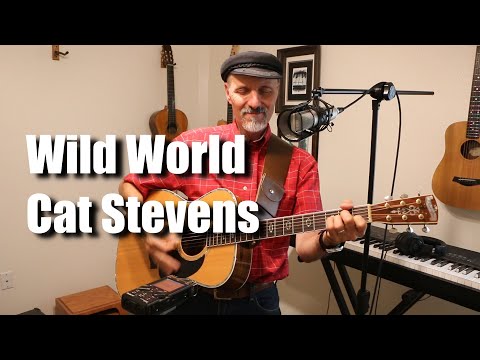 Wild World - Cat Stevens cover