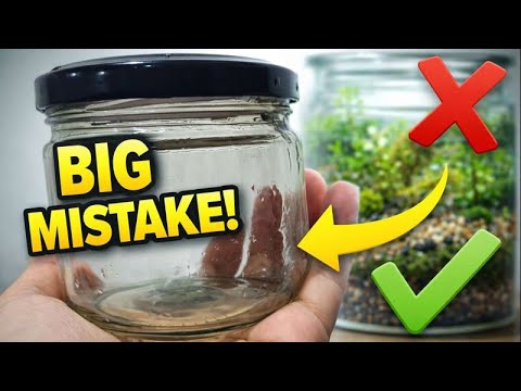 How to Make a Terrarium in a Jar | Easy Beginner Guide (Super Easy!) 