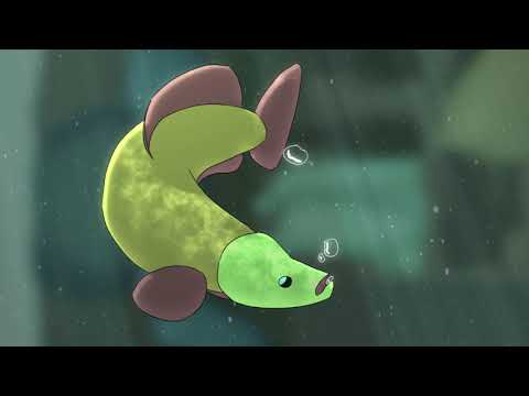 SWIM FREE thumbnail