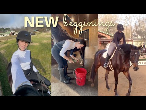 EQUESTRIAN VLOG: jumping lesson, bathing my horse & new riding clothes!