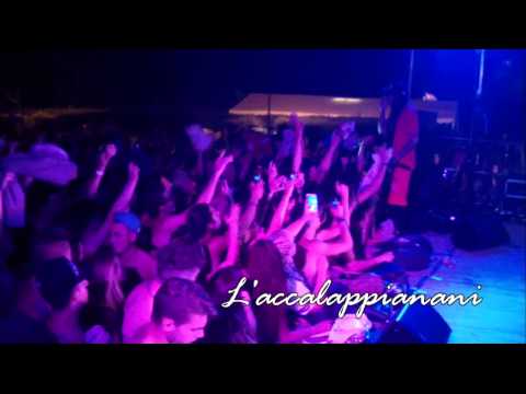 VACCA - L'ACCALAPPIANANI  live @corbetta 11 luglio 2014
