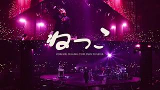 260621 킹누 [ ねっこ 뿌리 ] King Gnu CEN+RAL TOUR 2026 in SEOUL / 아시아 투어 서울 내한