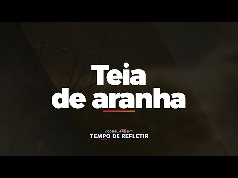 [Tempo de Refletir] Teia de aranha