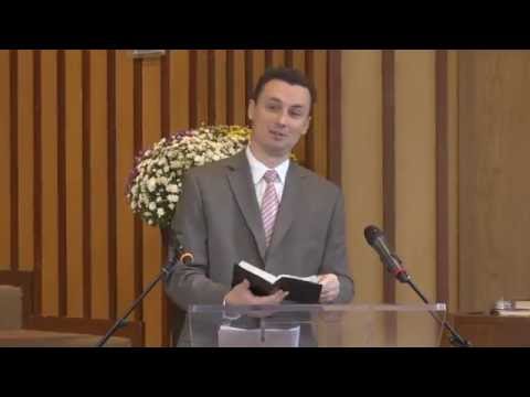 2016-10-08 "Videti nevidljivo" Goran Živković