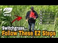 How EZ Switchgrass Plantings Are For Wildlife