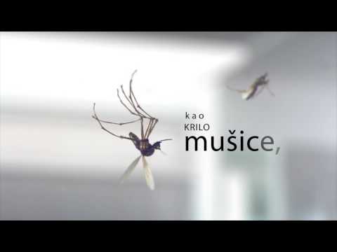 Vrijednost ovog svijeta