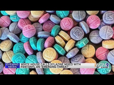 White House says fentanyl laced with 'tranq' drug is 'emerging threat'
