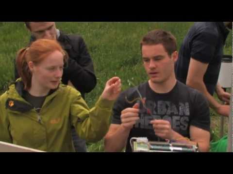 Ökosysteme verstehen - Landschaftsökologie studieren