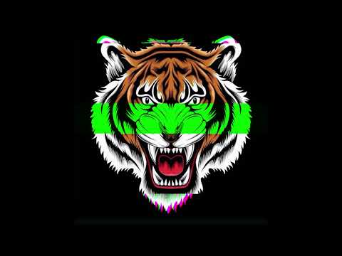 DILAN TEER BIJA (EDM DROP) - BENAZIR BHUTTO | DJ REMIX | TRANCE