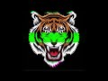DILAN TEER BIJA EDM DROP BENAZIR BHUTTO DJ REMIX TRANCE