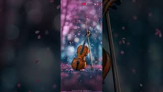 Download lagu Violin Music Ringtone|Violin Instrumental Music|Violin Status|Best Violin Music|Violin Music BGM mp3