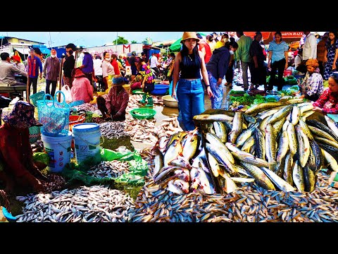 Food Rural TV, Cambodian Fish Market Show,  Busy Daily Life In Market & Food Market Scenes