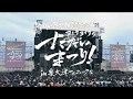 KANA BOON LIVE