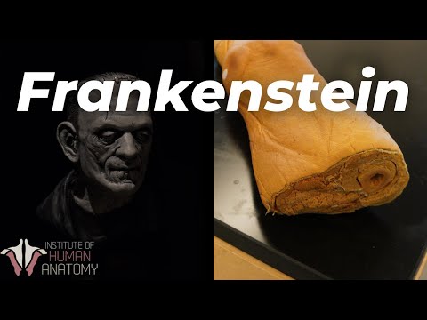 Can We Actually Build FRANKENSTEIN's Monster?