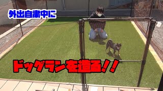 外出自粛中に家の庭にドッグランを作ってみた！！～らん丸の遊び場～