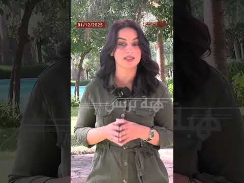 طائرة قادمة من أمستردام تتعرض لحادث بسبب الضباب في الناظور