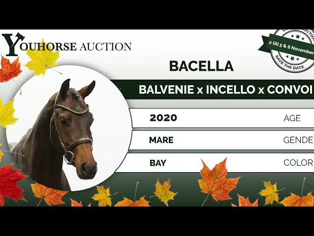 Bacella homevideo