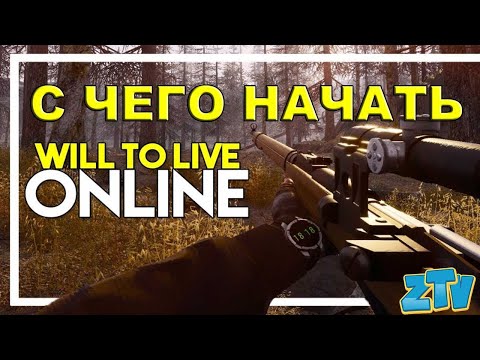 Will to live Online С чего начать новичку