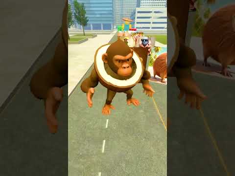 EVOLUTION ITALIAN BRAINROT SONG BR BR PATAPIM TRALALA vs KARKERKAR NOOBINI PIZZANINI in GARRY'S MOD