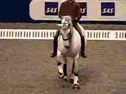 Andreas Helgstrand & Blue Hors Matiné