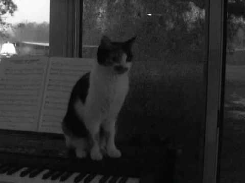 Eiafuawn - No more like that