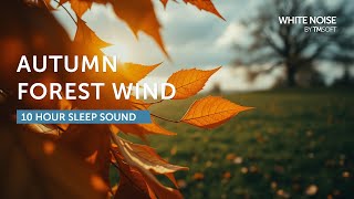 Autumn Forest Wind - 10 Hours Sleep Sound - Black Screen