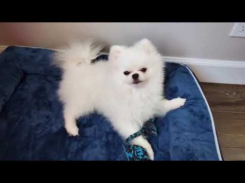 Benny bear ‘s photos                                     photographer: Lucy Jin