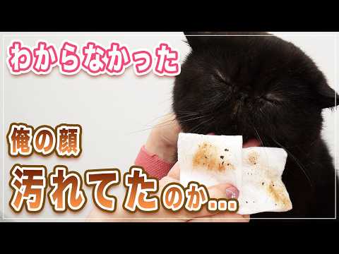 【ギャオス】黒猫の顔をちょっと拭いただけでこんなに汚れてた！ペチャンコ顔の猫はこう洗え！！黒猫+ピンク頭巾が可愛すぎる【エキゾチック】