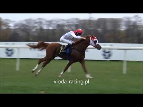 Gon. I - 22.11.2020 - Muranas Nadeem (Muranas Jassehr - Muranas Nasheetah)