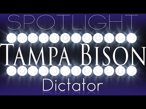 SPOTLIGHT:SSF4AE: EMP Tampa Bison //M.Bison// With Interview HD