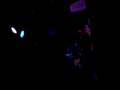 The Autumns - 'The Midnight Knock' Live